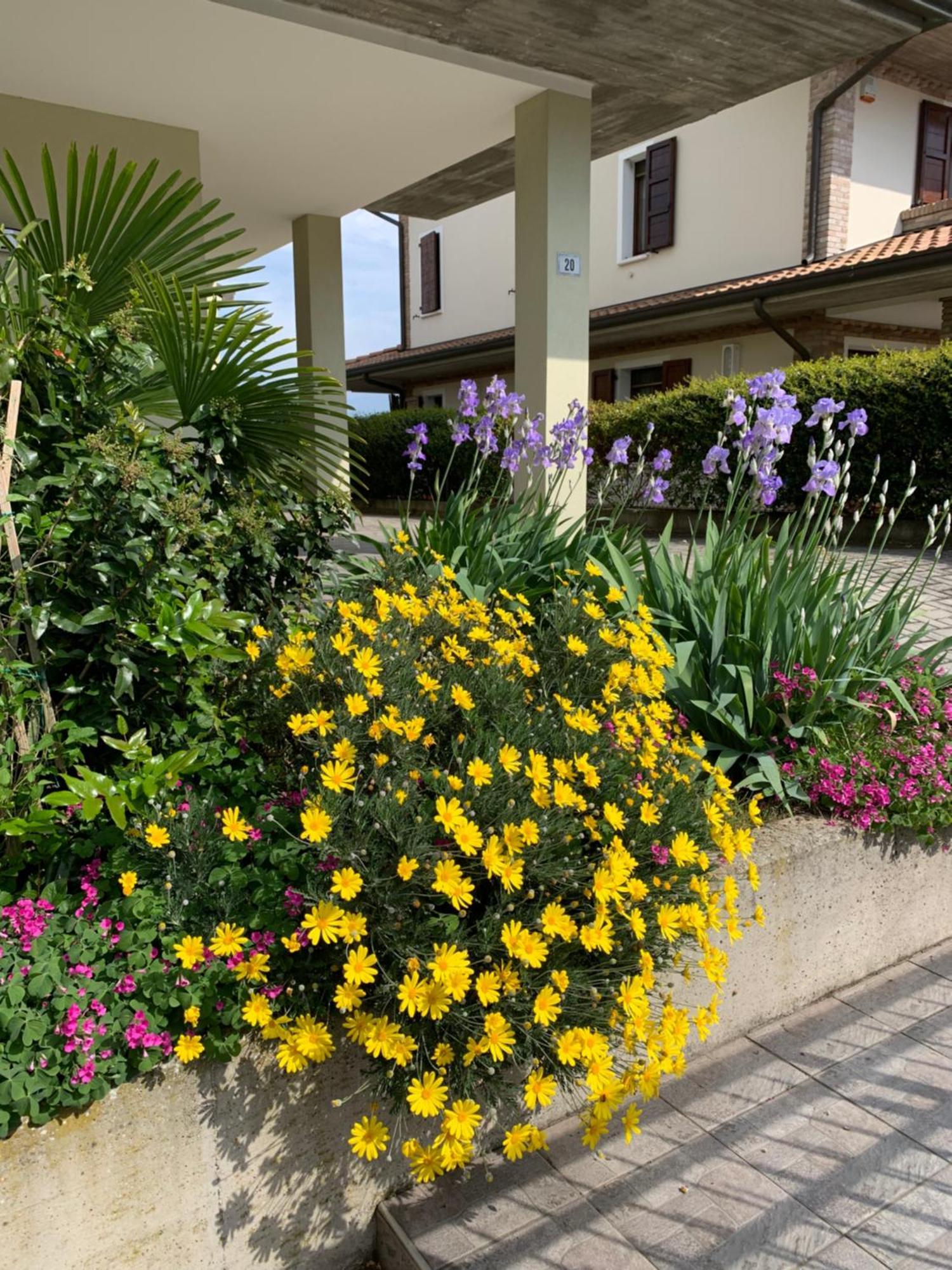 B&B La Salina Cannuzzo Dış mekan fotoğraf
