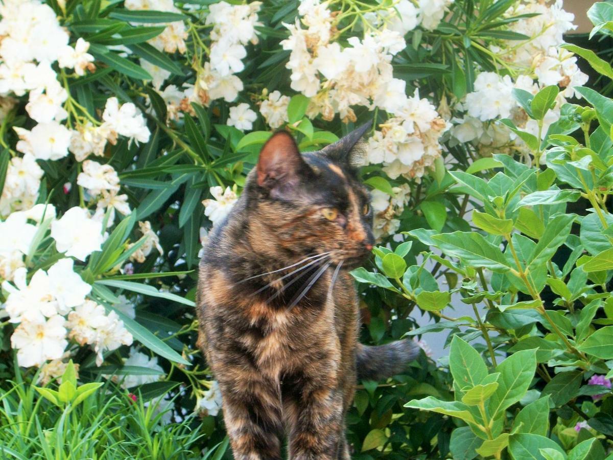 B&B La Salina Cannuzzo Dış mekan fotoğraf